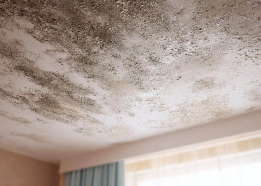 Iaq Strategies For Salons And Studios